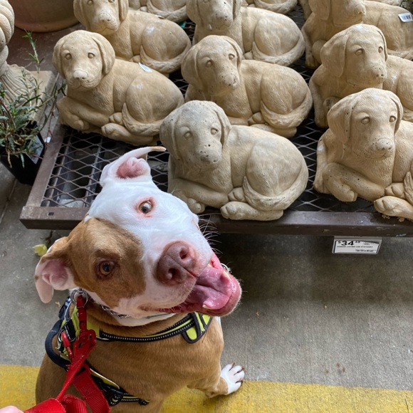 Meet your Posher, CathyBunny - Picture 6 of 16